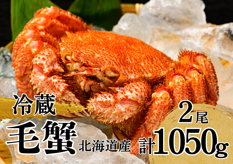 活ゆで毛蟹（2尾）計1050～1100g【冷蔵】毛ガニ 毛かに 国産 北海道産