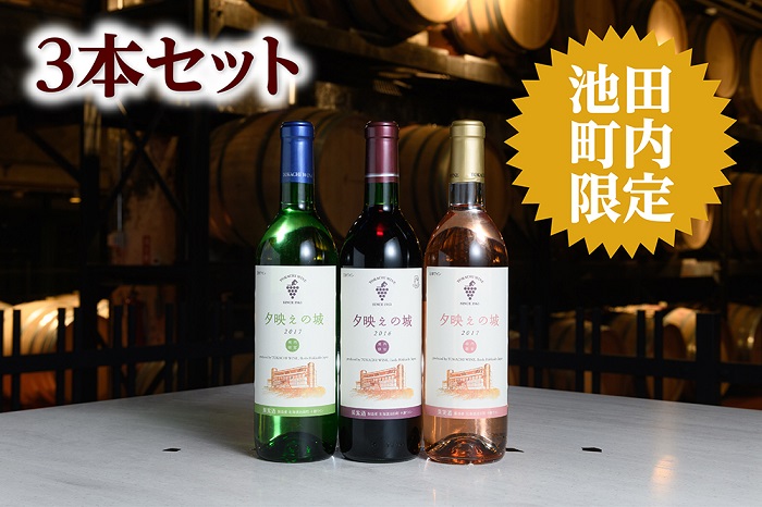 北海道　夕映えの城3本　十勝ワイン
