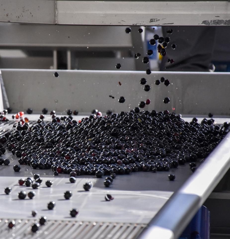 十勝ワイン　町民用シリーズ6本セット(赤・白・ロゼ)