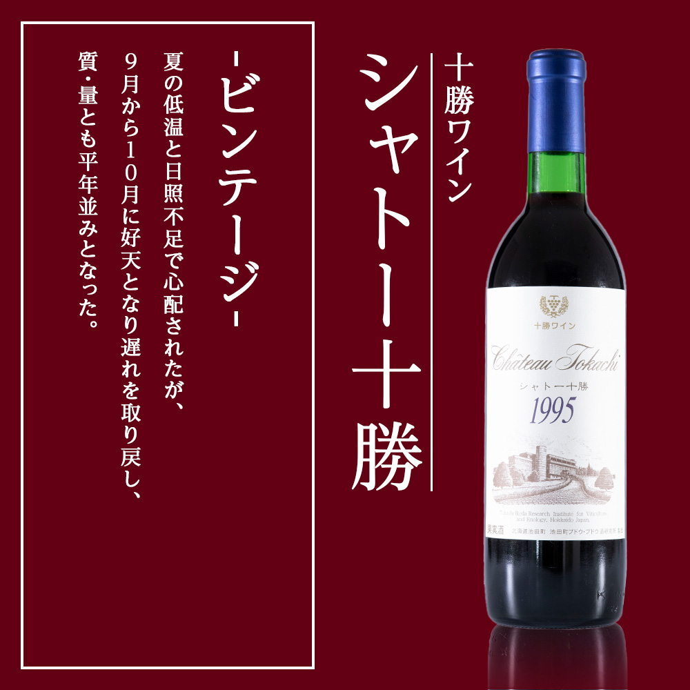 十勝ワイン シャトー十勝 1995年 720ml 北海道池田町 ビンテージ 赤ワイン 数量限定 ヴィンテージ