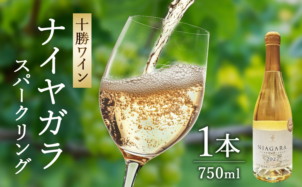 十勝ワイン ナイヤガラスパークリング 1本