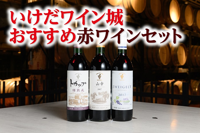 北海道　ワイン城おすすめ赤3本　十勝ワイン