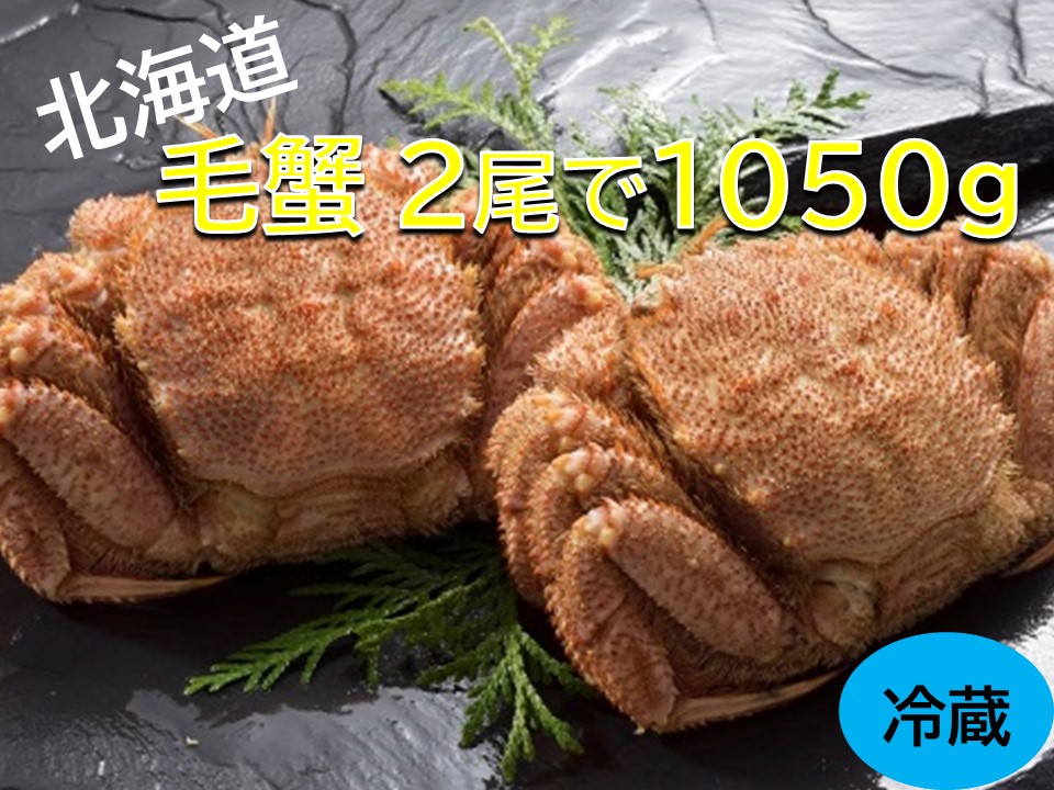 活ゆで毛蟹（2尾）計1050g【冷蔵】毛ガニ 毛かに 国産 北海道産