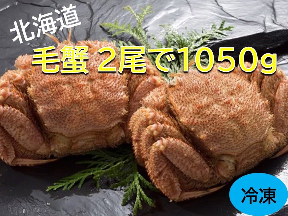 活ゆで毛蟹(2尾)計1150g[冷凍]毛ガニ 毛かに 国産 北海道産 蟹 かに カニ