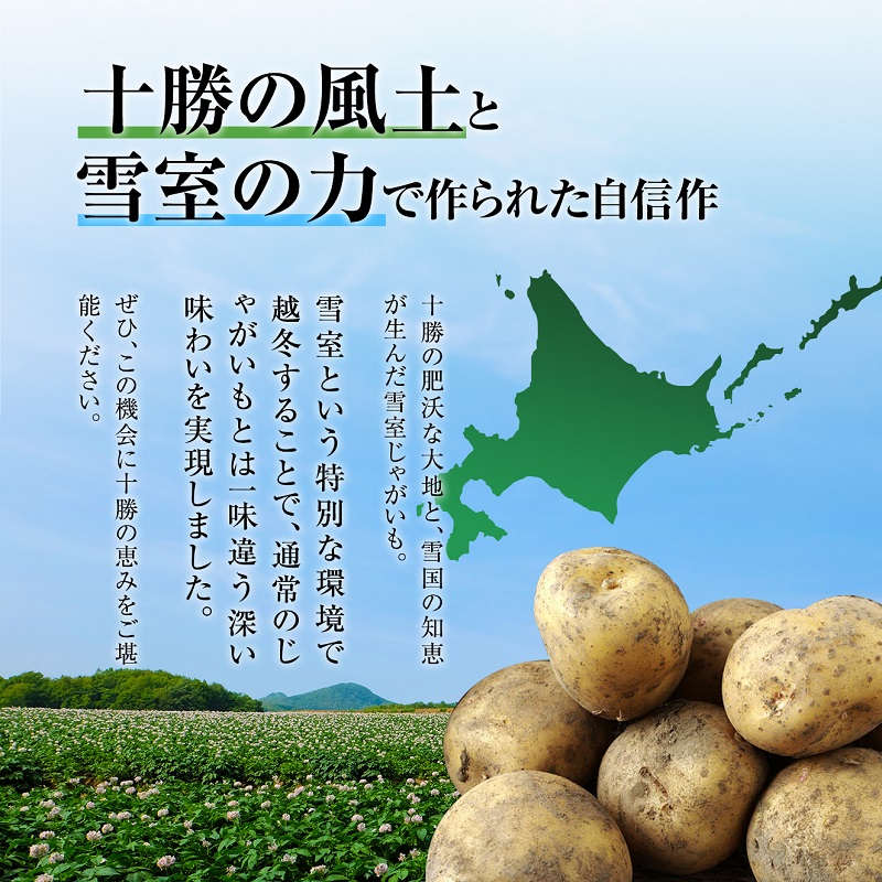 北海道産 熟成じゃがいも とうや10kg 期間限定 雪室貯蔵 十勝産 ジャガイモ じゃが芋 いも 甘い