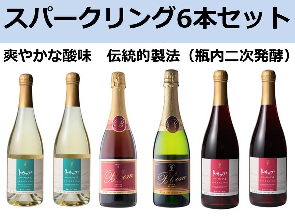 北海道　スパークリングワイン6本　十勝ワイン