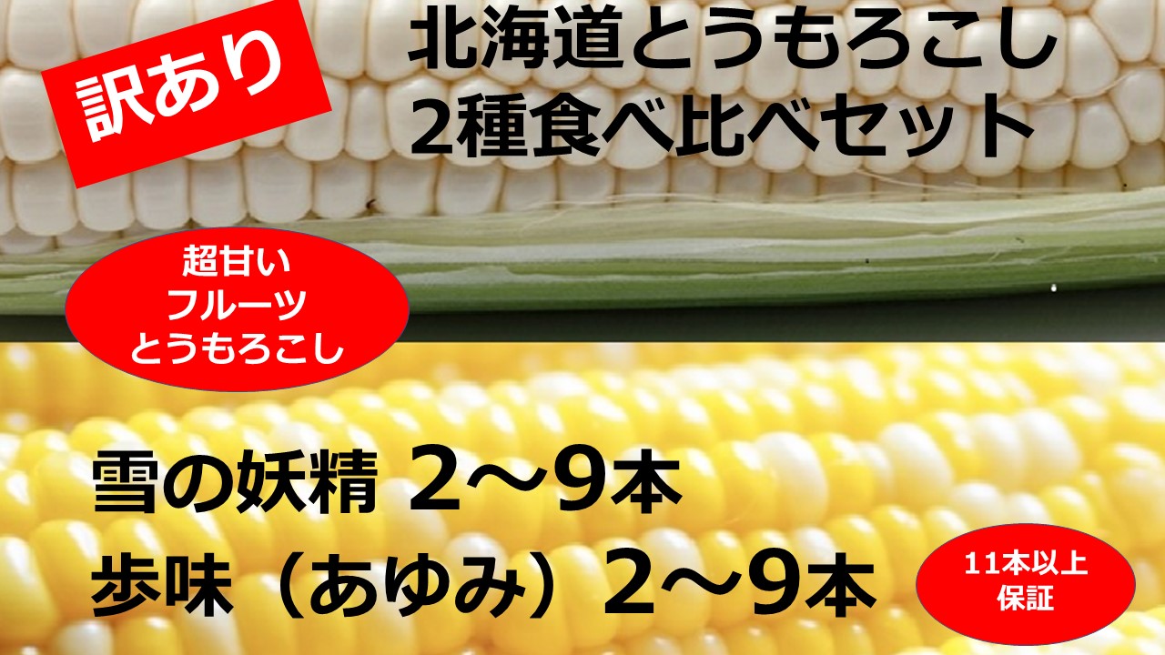 訳あり 北海道 とうもろこし 2種類 合計11～12本 食べ比べセット 雪の妖精（ホワイトコーン）2～9本、あゆみ（歩味、バイカラー）2～9本 期間限定 数量限定  トウモロコシ
