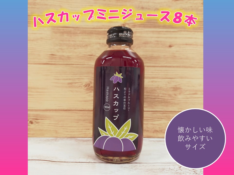 北海道　不老長寿の果実ハスカップのミニジュース8本　