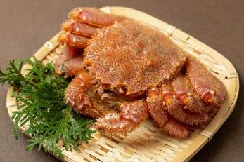 活ゆで毛蟹（2尾）計1050g【冷凍】毛ガニ 毛かに 国産 北海道産 蟹 かに カニ