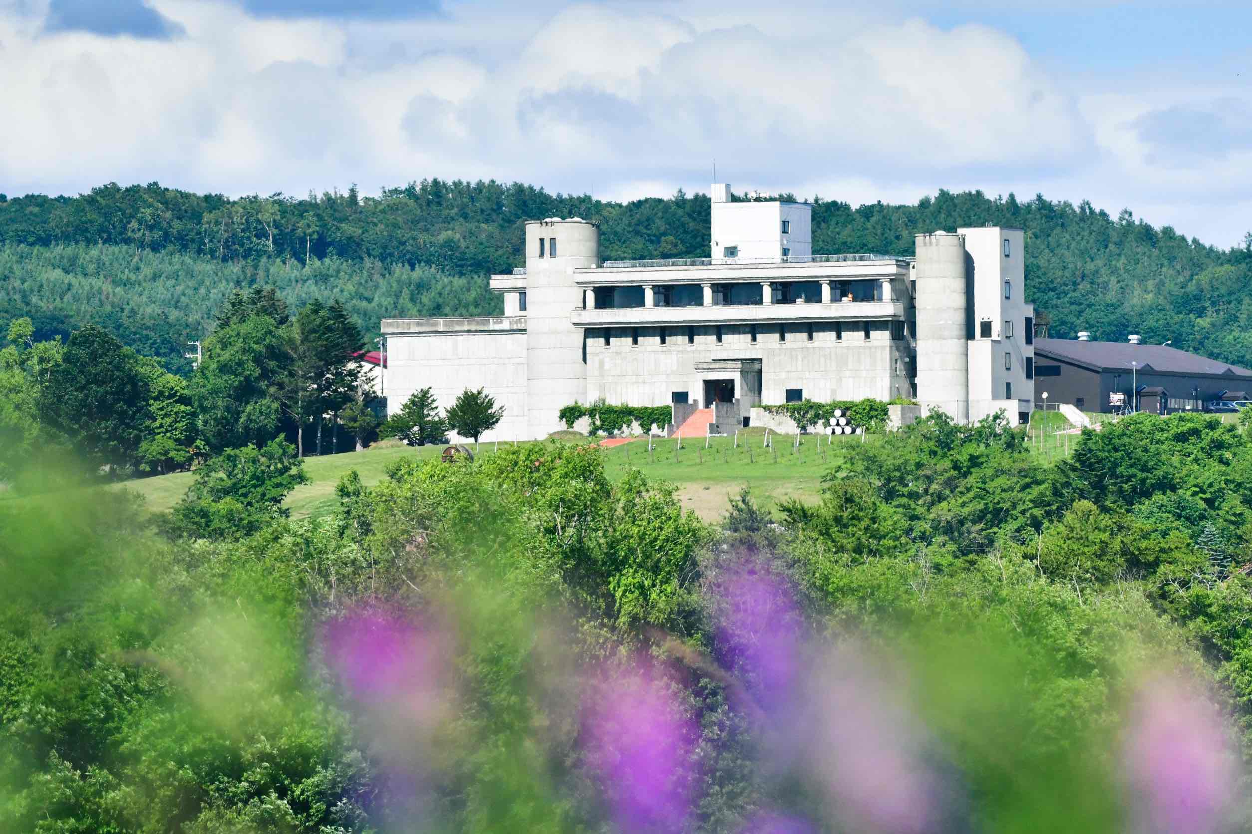 梅酒 ブランデー仕込み 500ml×12本 梅酒 ブランデー 甘口 原酒 熟成 フレンチオーク樽