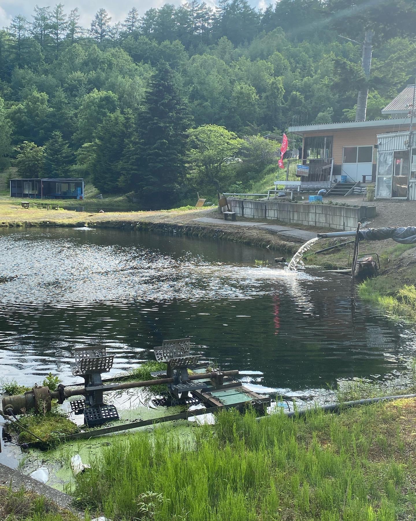 釣り堀チケット（大人1名）釣り餌付 竿付き ドナルドサーモン 持ち帰り 1時間釣り放題 内臓処理対応 BBQ無料 エサ付 釣り体験