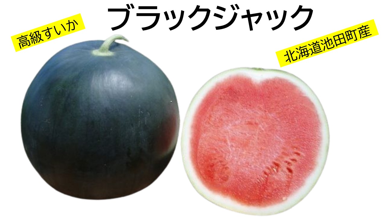 すいか ブラックジャック 5~6kg 1玉 北海道産 甘い 期間限定 数量限定 スイカ
