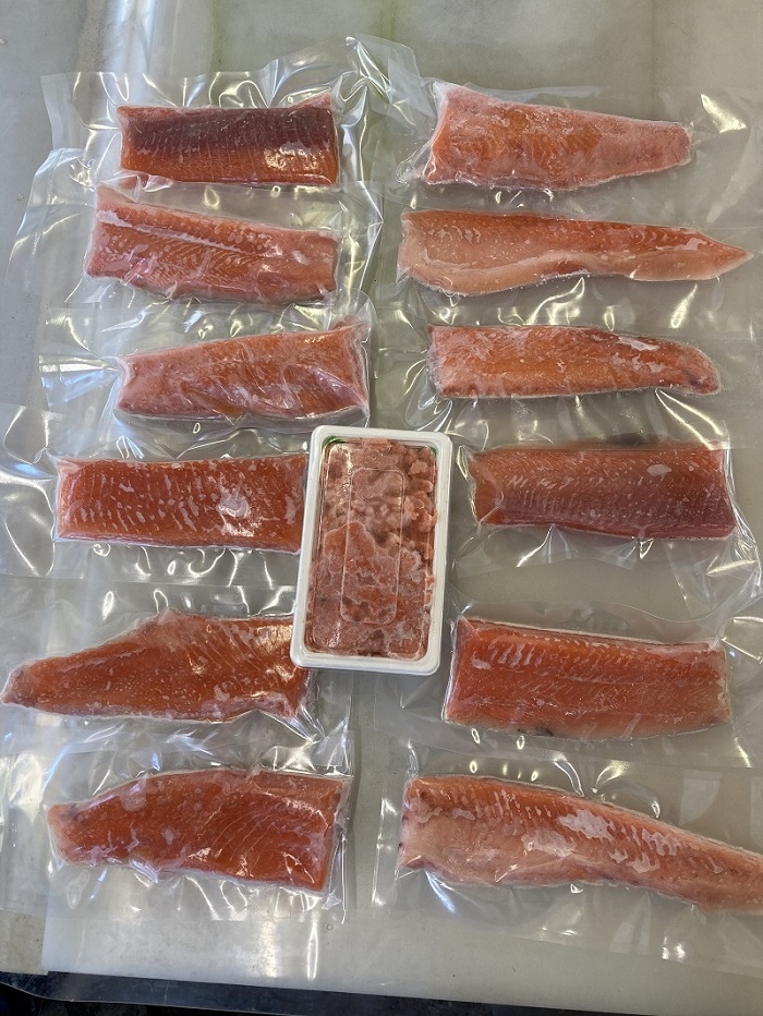 北海道 国産ドナルドサーモン中落ち付 1800g　鮭 サーモン 人気サーモン サケ 国産サーモン 国産鮭 小分け 冷凍