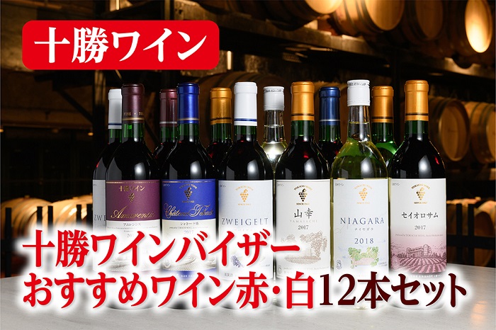 北海道　ワインバイザーおすすめ厳選ワイン赤・白12本