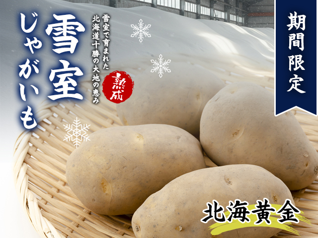 北海道産 熟成じゃがいも 北海黄金10kg 期間限定 雪室貯蔵 十勝産 ジャガイモ じゃが芋 いも 甘い