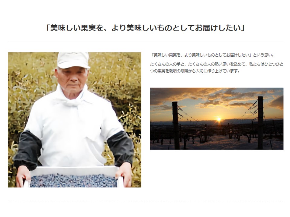 北海道 ぶどうミニジュース10本 ストレート 果汁100％ ぶどう 葡萄 ブドウ 無添加