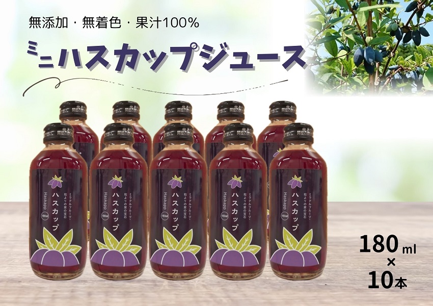 北海道　不老長寿の果実ハスカップのミニジュース10本　