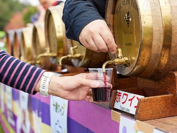 10月8日（日） 北海道池田町ワイン祭り入場券