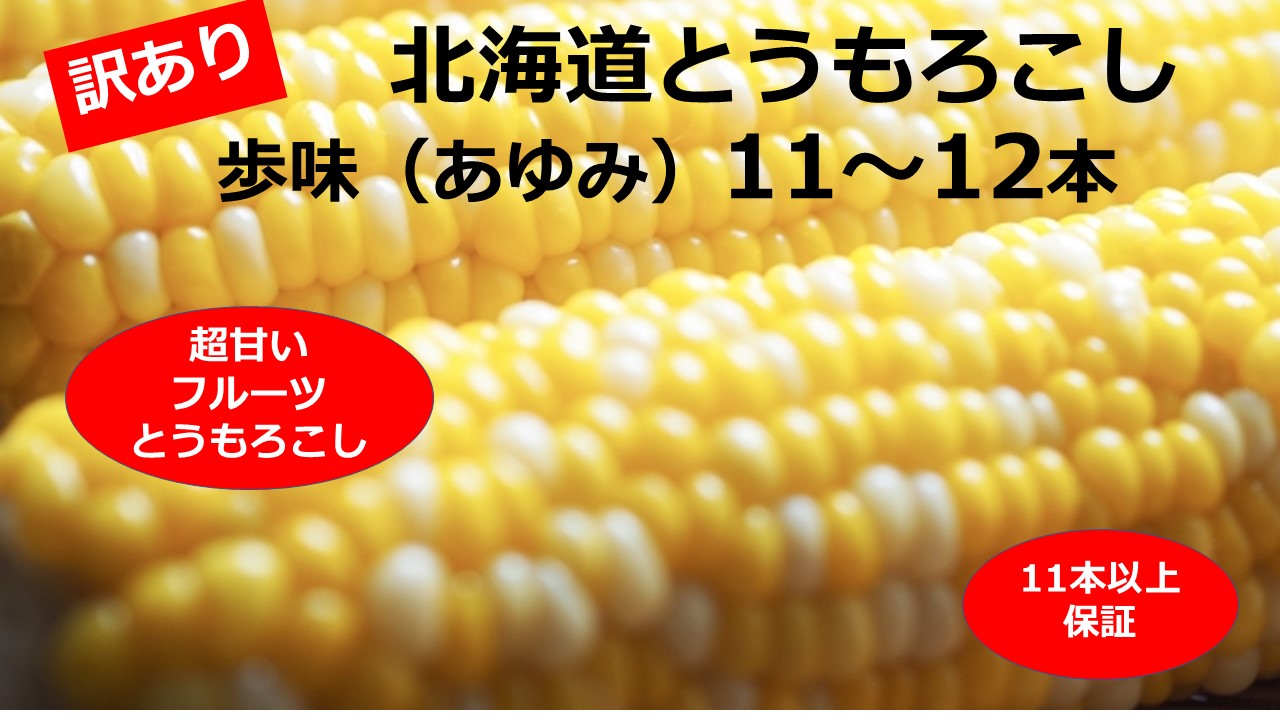 訳あり 北海道 歩味（あゆみ）バイカラーコーン 11～12本入り とうもろこし トウモロコシ 数量限定 期間限定 甘い 朝採れ
