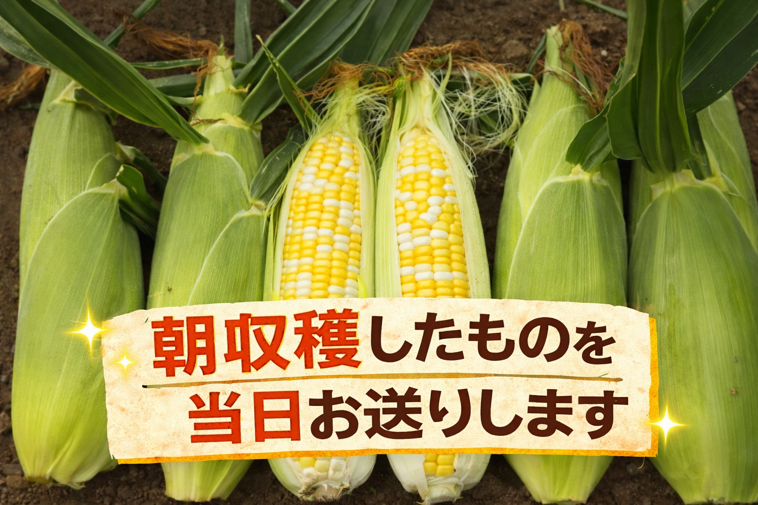 èš³ãã åæµ·é ãšããããã 2çš®é¡ åèš11ïœ12æ¬ é£ã¹æ¯ã¹ã»ãã éªã®åŠç²ŸïŒãã¯ã€ãã³ãŒã³ïŒ2ïœ9æ¬ãããã¿ïŒæ©å³ããã€ã«ã©ãŒïŒ2ïœ9æ¬ æééå® æ°ééå® ããŠã¢ãã³ã·