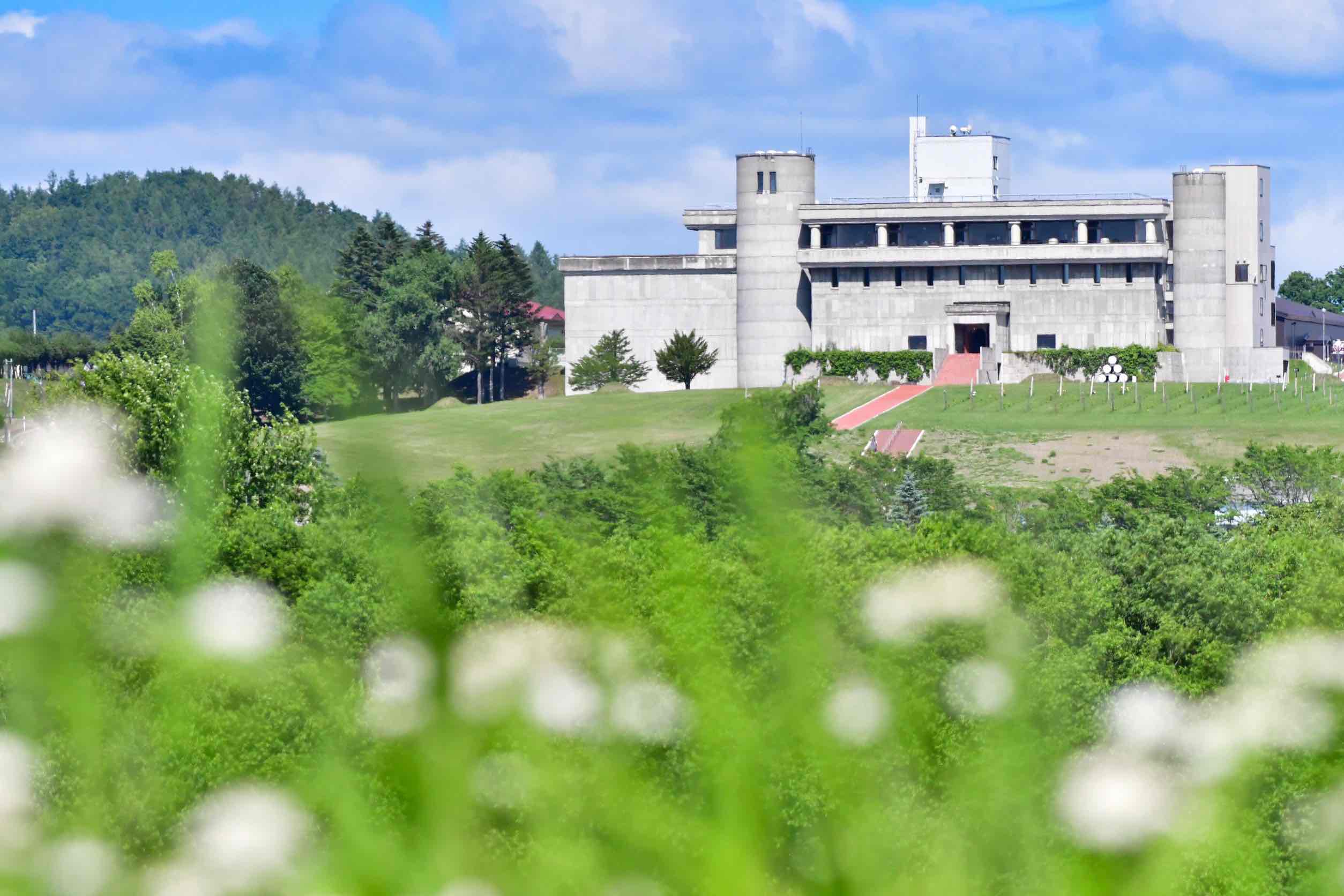 【厳選赤ワイン】十勝ワイン6本セレクション 北海道池田町 赤ワイン 本格派 十勝ワイン ビンテージ 赤ワインセット