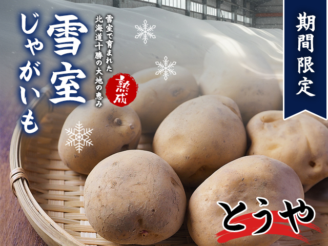 北海道産 熟成じゃがいも とうや10kg 期間限定 雪室貯蔵 十勝産 ジャガイモ じゃが芋 いも 甘い