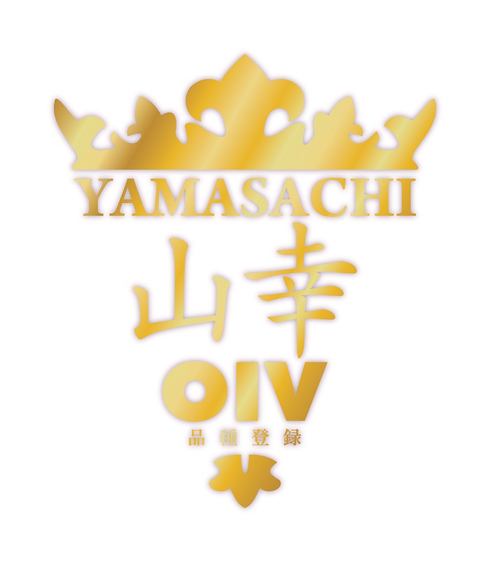 山幸 1本 赤ワイン 受賞歴多数 北海道ワイン テレ朝「朝だ！生です旅サラダ」で紹介されました OIV登録（国際ワイン・ブドウ機構） ワイン 世界が認めるワイン