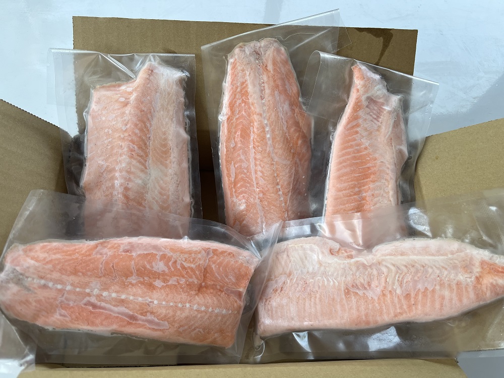 北海道　国産ドナルドサーモン(生食用)　500g　小分け4パック前後