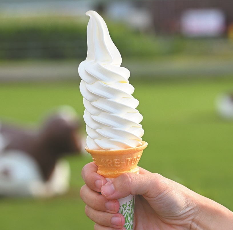 徳島ゆず＆生ソフトクリーム 14個×120ml アイスクリーム アイス スイーツ 池田町 ジェラート ギフト ソフトクリーム 国産 詰め合わせ アイスセット 嶋木牧場 先行予約