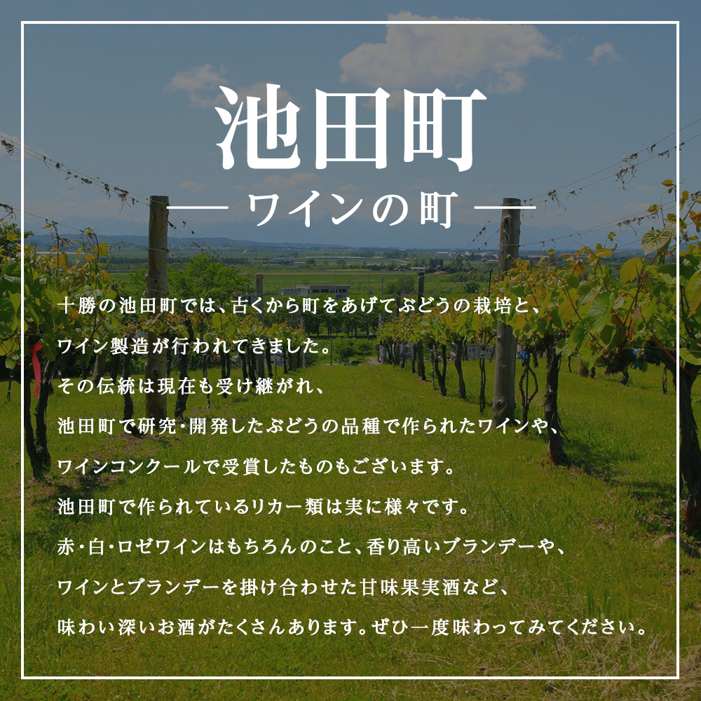 十勝ワイン シャトー十勝 1995年 720ml 北海道池田町 ビンテージ 赤ワイン 数量限定 ヴィンテージ
