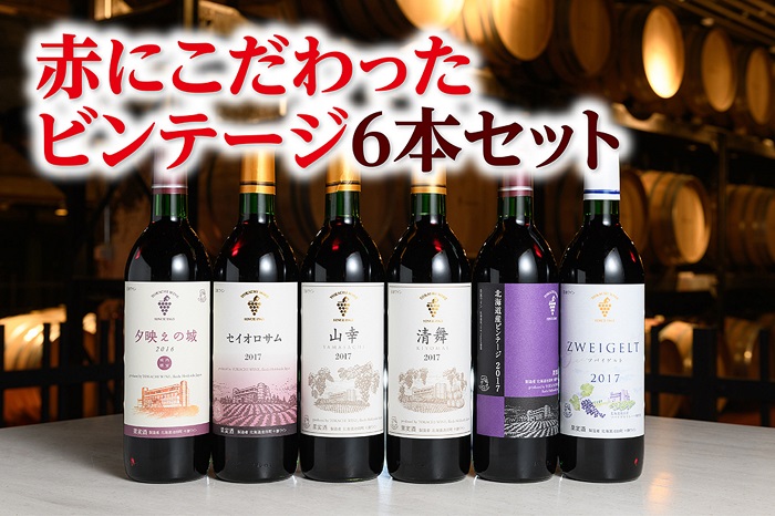 北海道　赤にこだわったビンテージ6本　十勝ワイン