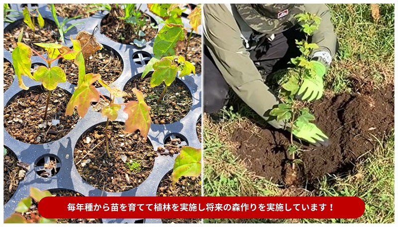 国産メープルシロップ「MOMIJI SYRUP」50ml×12本入り 北海道 十勝 ジャパンフードセレクショングランプリ受賞！メープル メイプル シロップ