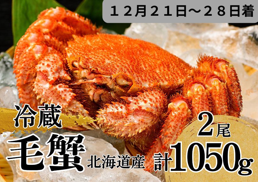 【12月14日までの申込で年内配送】冷蔵 活ゆで毛蟹 毛ガニ 2尾で1050g 北海道 毛がに 12月21～28日着