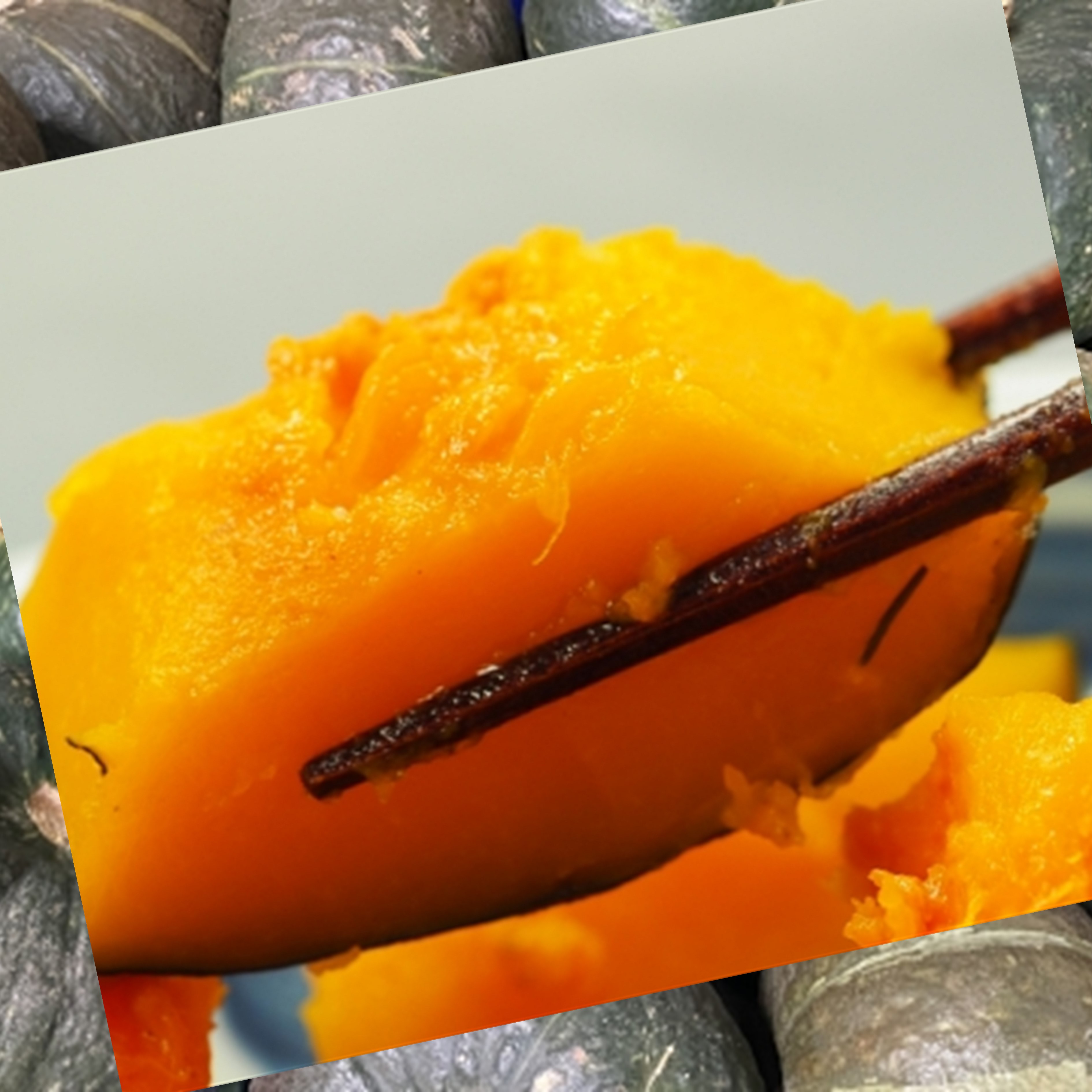 十勝の秋の味覚野菜詰合せ（南瓜・玉ねぎ）セット【2026年秋出荷】（先行受付）【工房みみずく】