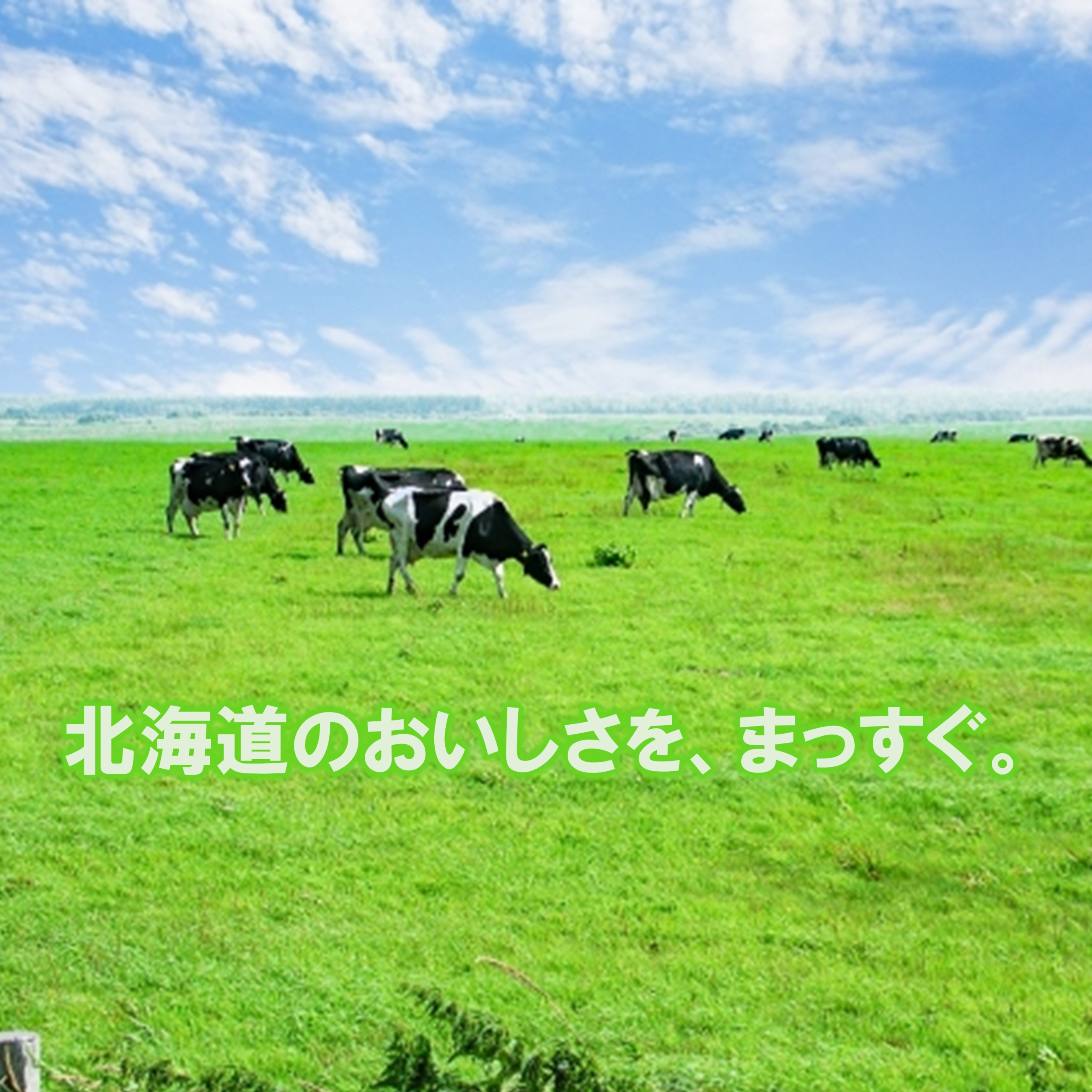 よつ葉の贈り物 北海道ミルクのスープの9袋セット【EC-B】