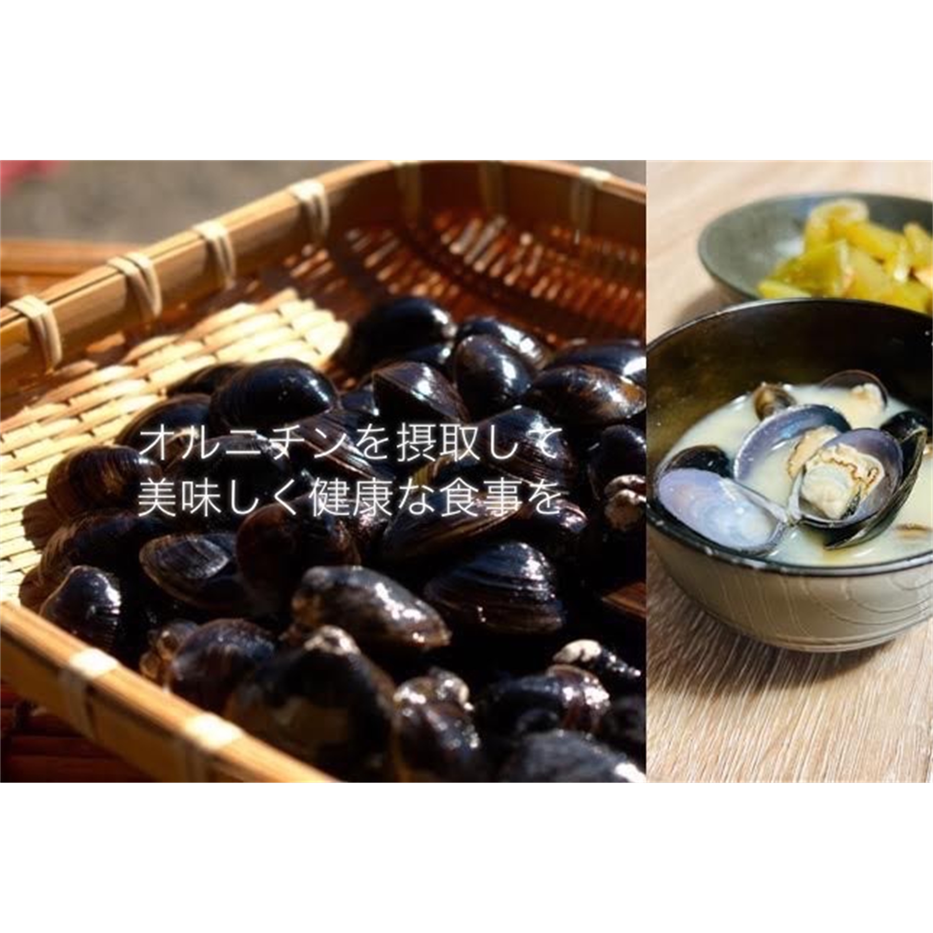 北海道豊頃産 しじみ　LL サイズ １㎏［北海山］