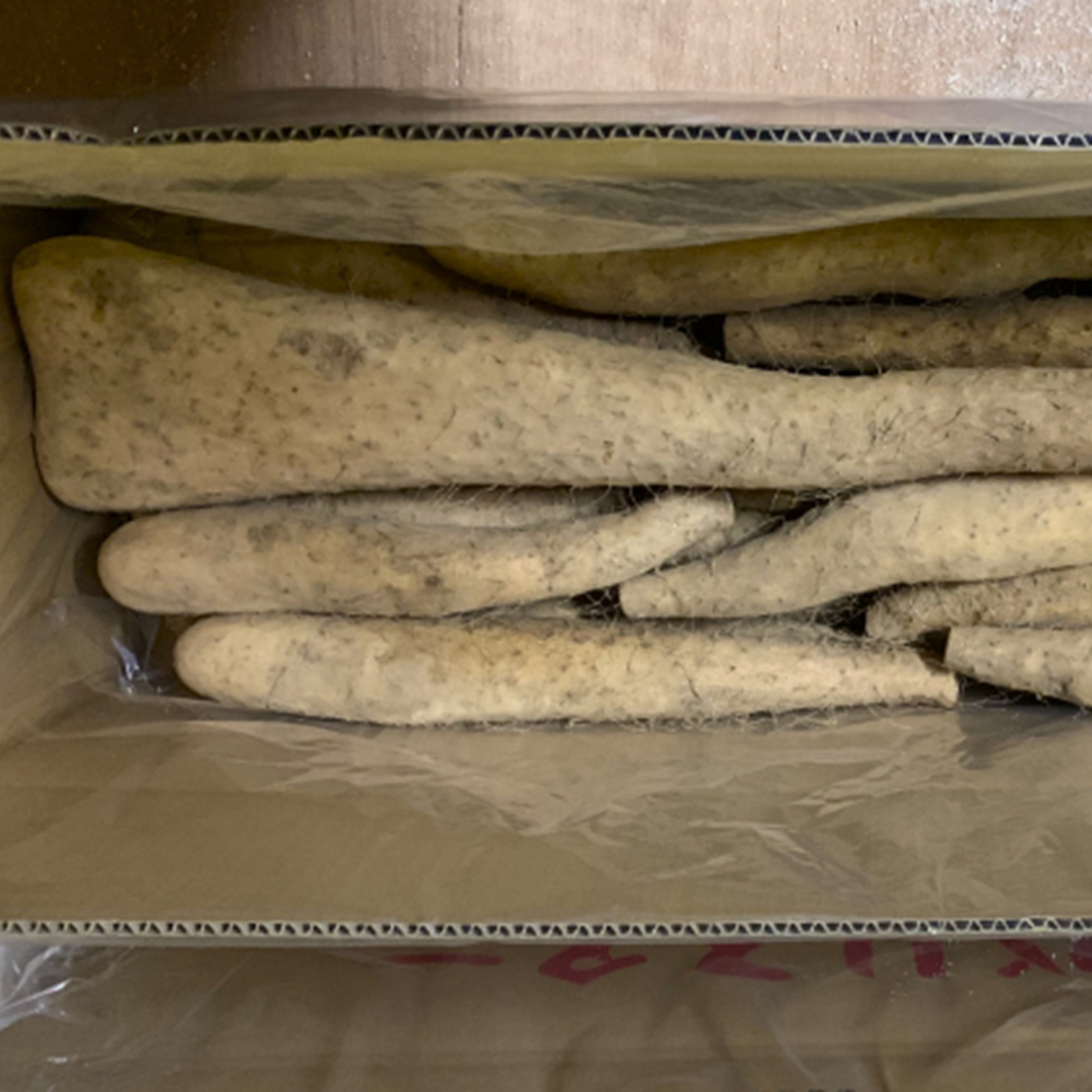 【訳あり】十勝豊頃産ながいも8.0kg 【2026年初冬出荷開始】【定期便2回 12月・2月発送】（先行受付）【植村農場】