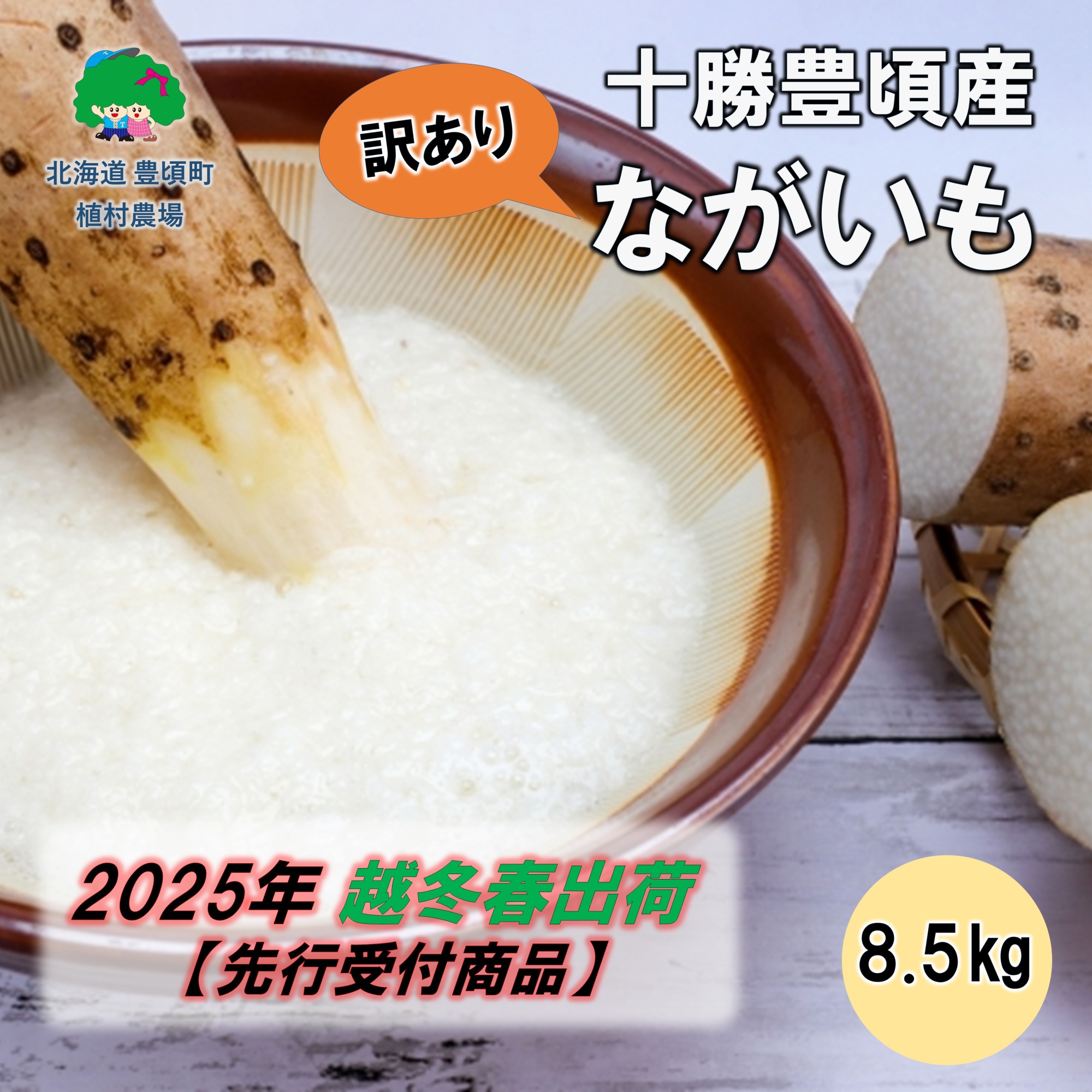 （訳あり）十勝豊頃産 ながいも8.5kg【2025年春出荷】（先行受付）【植村農場】