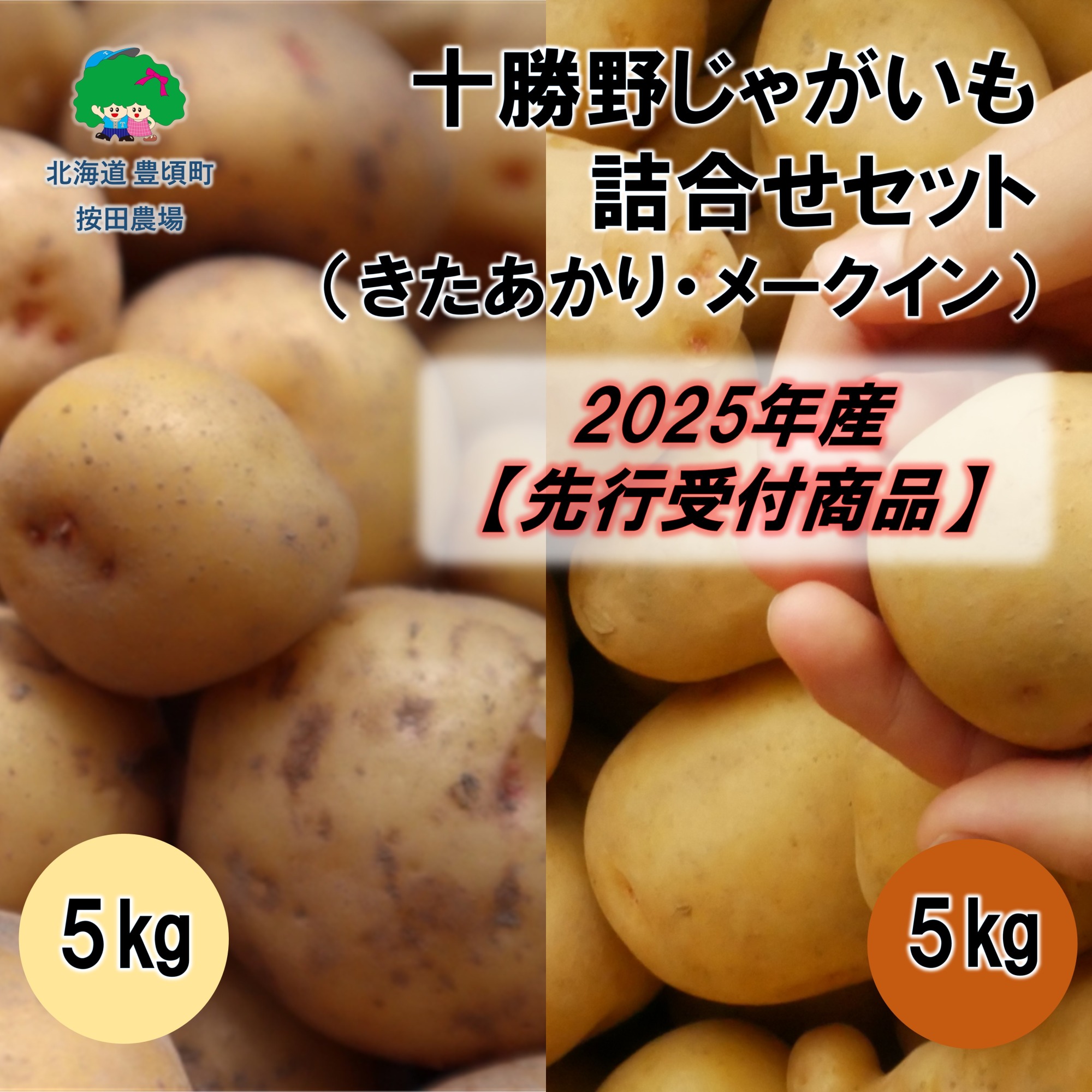 十勝野じゃがいも詰合せセット10kg（きたあかり・メークイン）【2025年産】（先行受付）［按田農場］