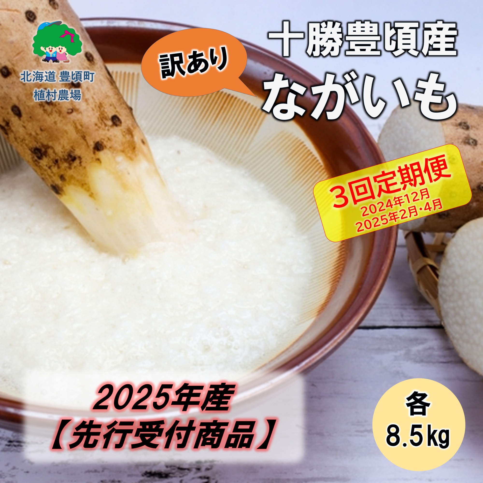 【訳あり】2025年産 十勝豊頃産 ながいも 各8.5kg【3回定期便 2025年12月･2026年2月・4月発送】（先行予約）【植村農場】