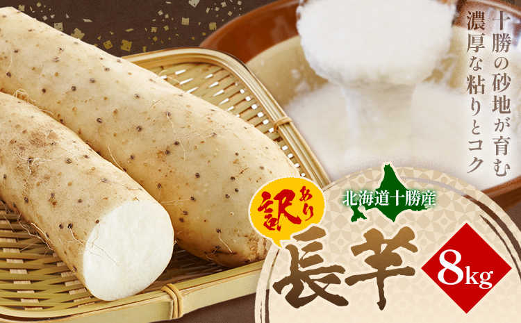 2026年 先行予約【訳あり】十勝豊頃産 ながいも 8kg 植村農場 《12月上旬頃から出荷》北海道 豊頃町 長芋 山芋 とろろ 野菜 旬 特産 産地直送 農家直送 家庭用 まとめ買い 大容量 規格外