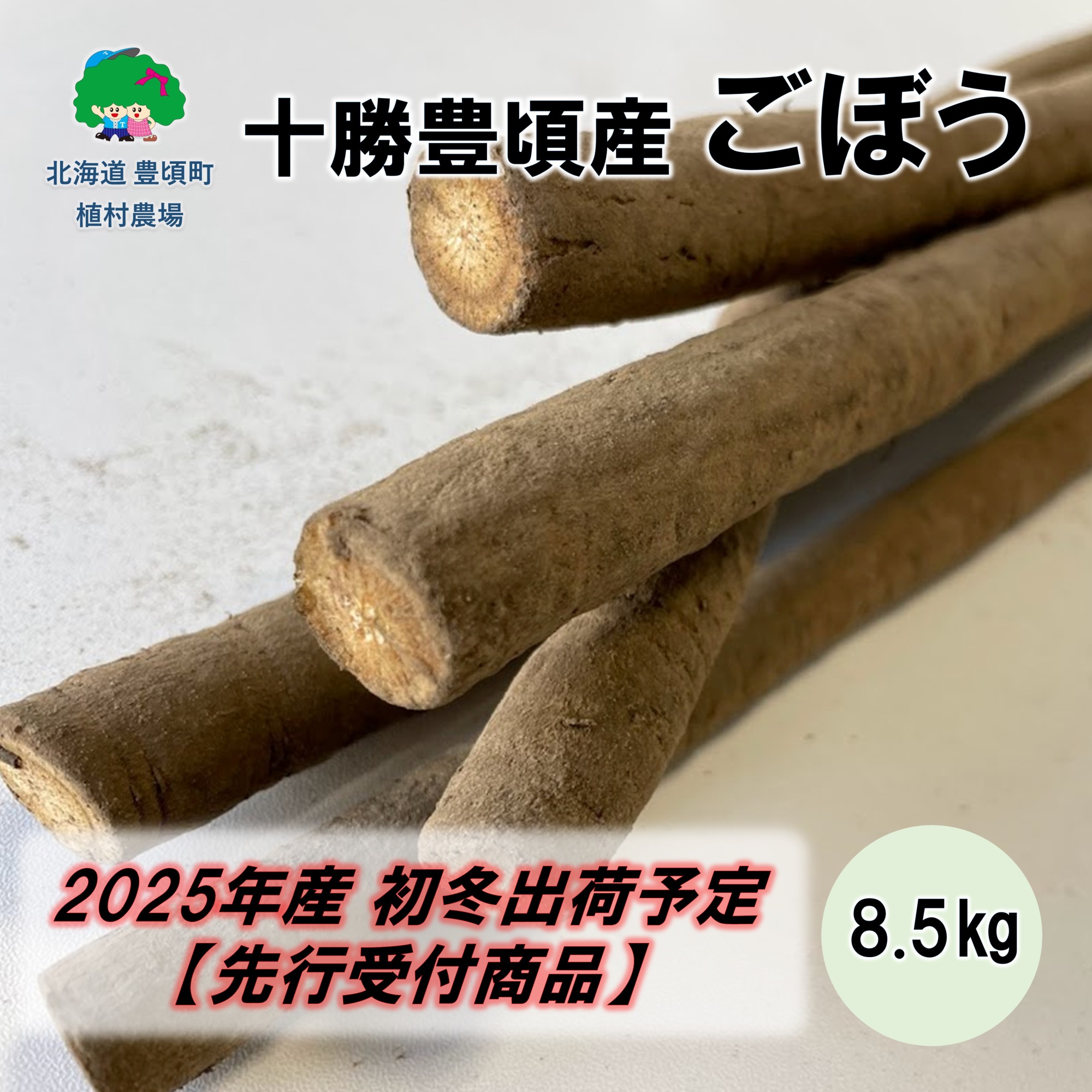 十勝豊頃産 ごぼう8.5kg【2025年初冬出荷（先行受付）】【植村農場】