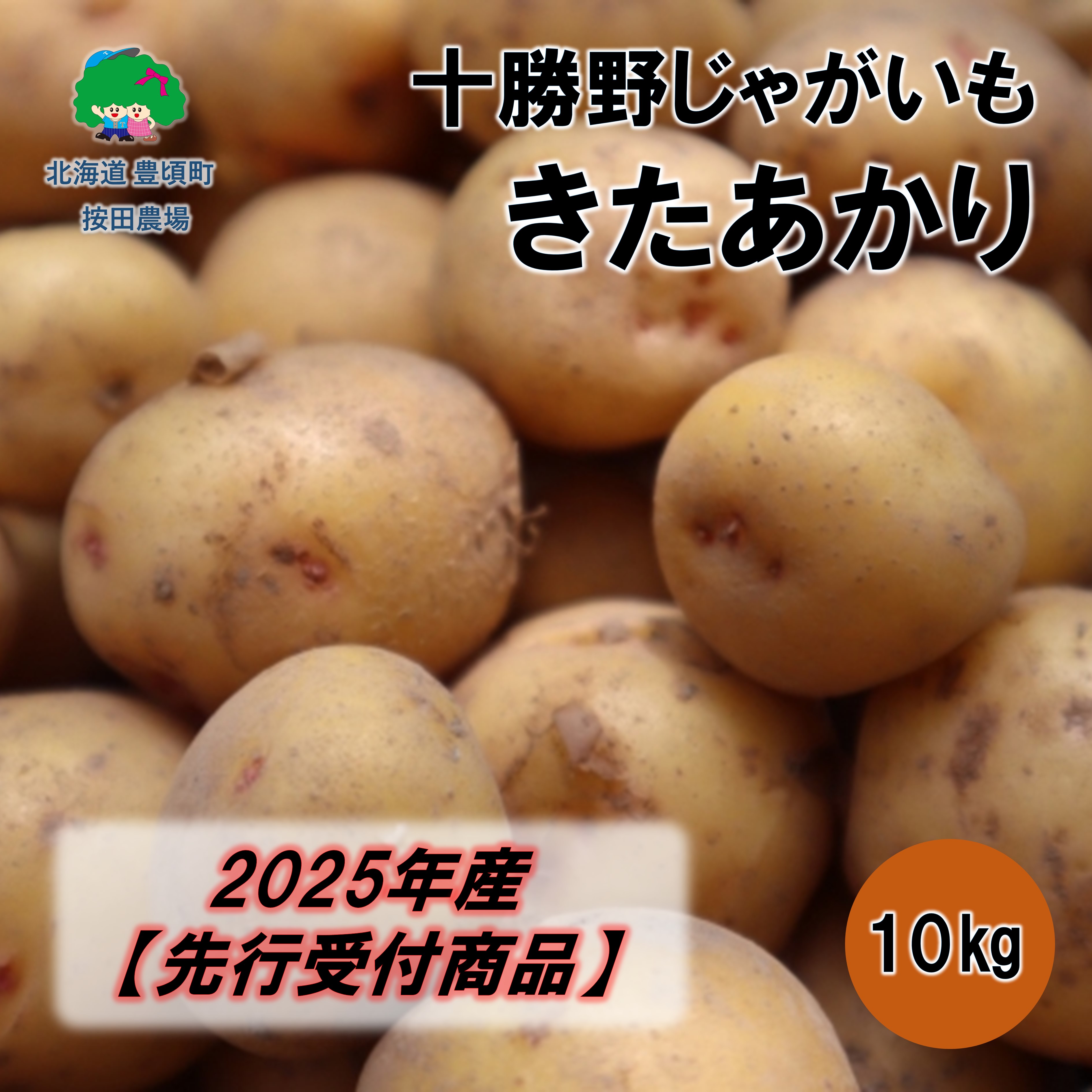 十勝野じゃがいも きたあかり10kg【2025年産】（先行受付）［按田農場］