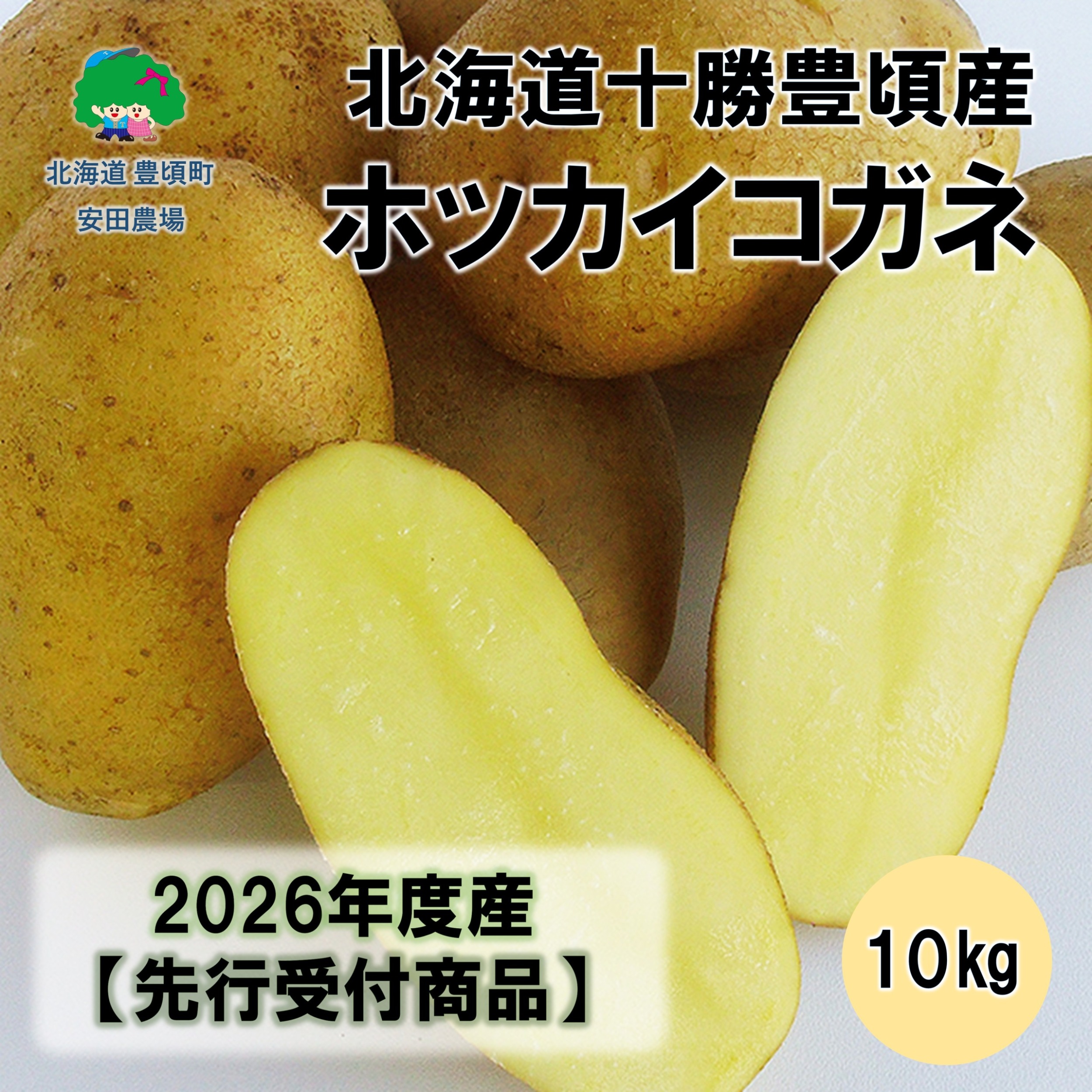 北海道十勝豊頃産ホッカイコガネ10kg 【2026年秋出荷】（先行受付】［安田農場］