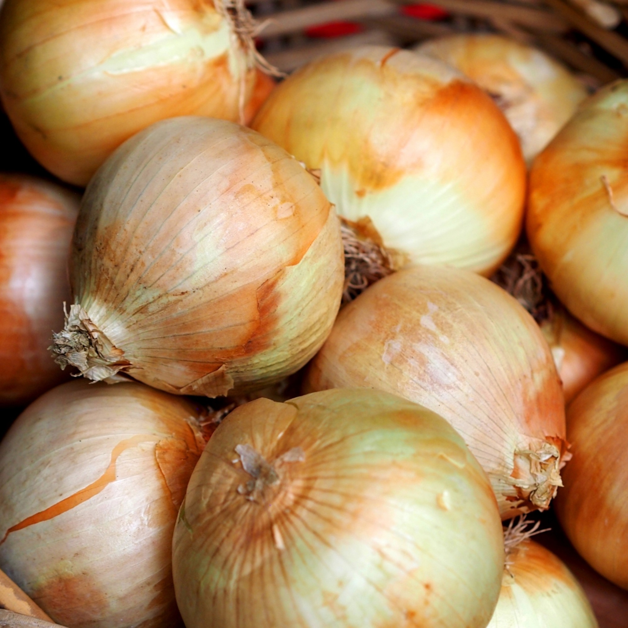 十勝の秋の味覚 野菜詰め合わせ(南瓜･玉ねぎ･じゃがいも)セット【2025年産】（先行受付）】【工房みみずく】