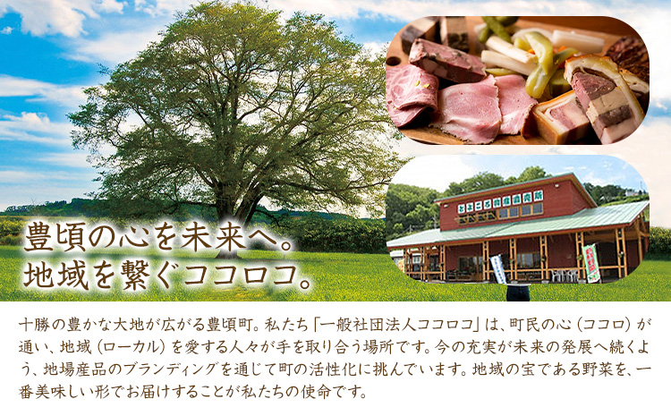 神秘のジュエリーアイス ネックレス＆ピアスセット ブルー 一般社団法人ココロコ《30日以内に出荷予定(土日祝除く)》北海道 豊頃町 特産 ジュエリーアイス アクセサリー ネックレス ペンダント ピアス ガラス細工