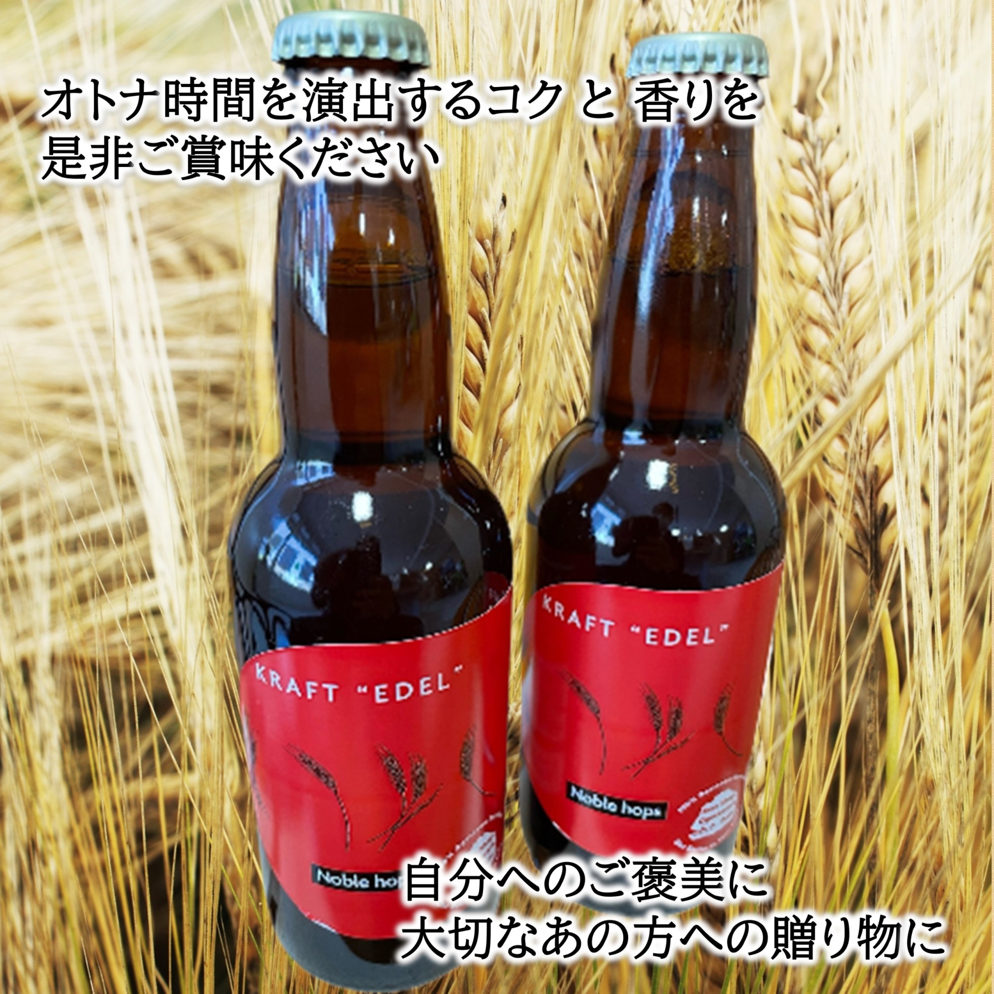 十勝・豊頃の農家が作ったクラフトビール330ml×3本【6回定期便】