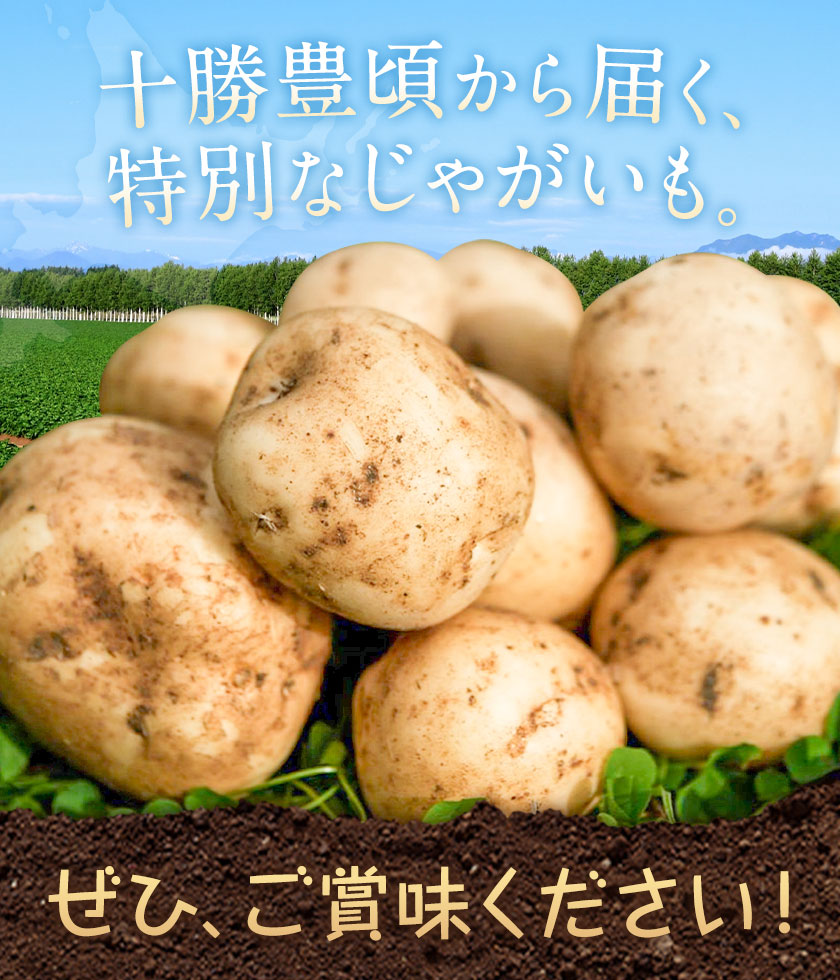 【2026年秋出荷】先行予約 十勝野じゃがいも きたあかり 10kg 按田農場《2026年10月中旬-11月末頃出荷》北海道 豊頃町 十勝野 じゃがいも 農家直送 数量限定