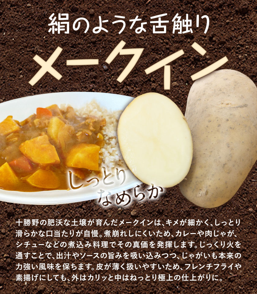 【2026年秋出荷】先行予約 十勝野じゃがいも 詰め合わせセット 10kg きたあかり メークイン 按田農場《2026年10月中旬-11月末頃出荷》北海道 豊頃町 十勝野 じゃがいも セット 農家直送 数量限定