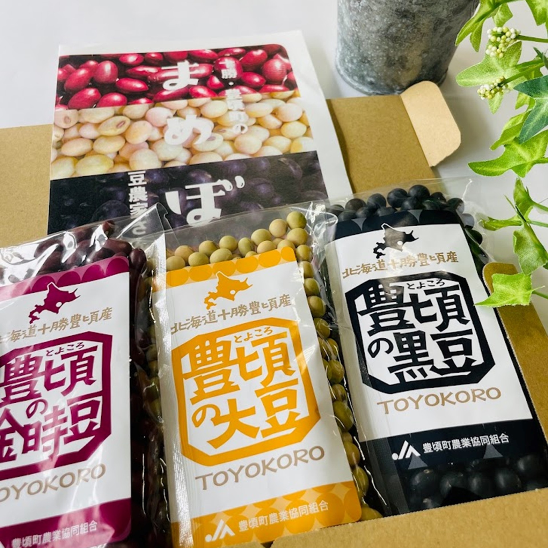 体に優しい煮豆調理お試し セレクトパック（金時豆150ｇ・黒豆150ｇ・大豆150ｇ ） レシピ付き 「ネコポス対象商品」ポストイン返礼品